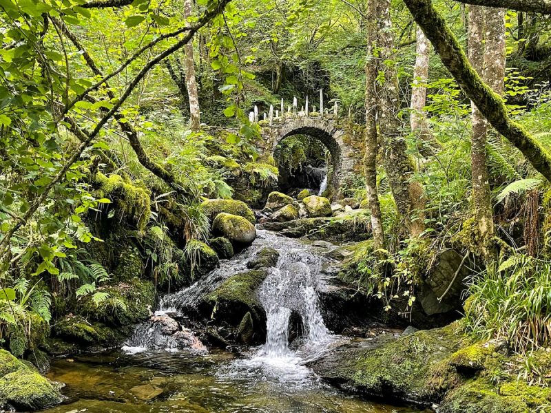 FAIRY BRIDGE SCOZIA