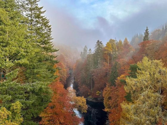 TOUR DI GRUPPO FOLIAGE SCOZIA