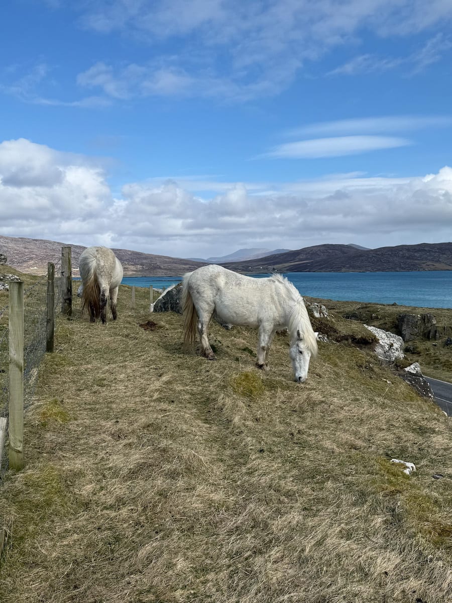 Scozia Isole Eriskay