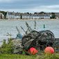 Islay Tour